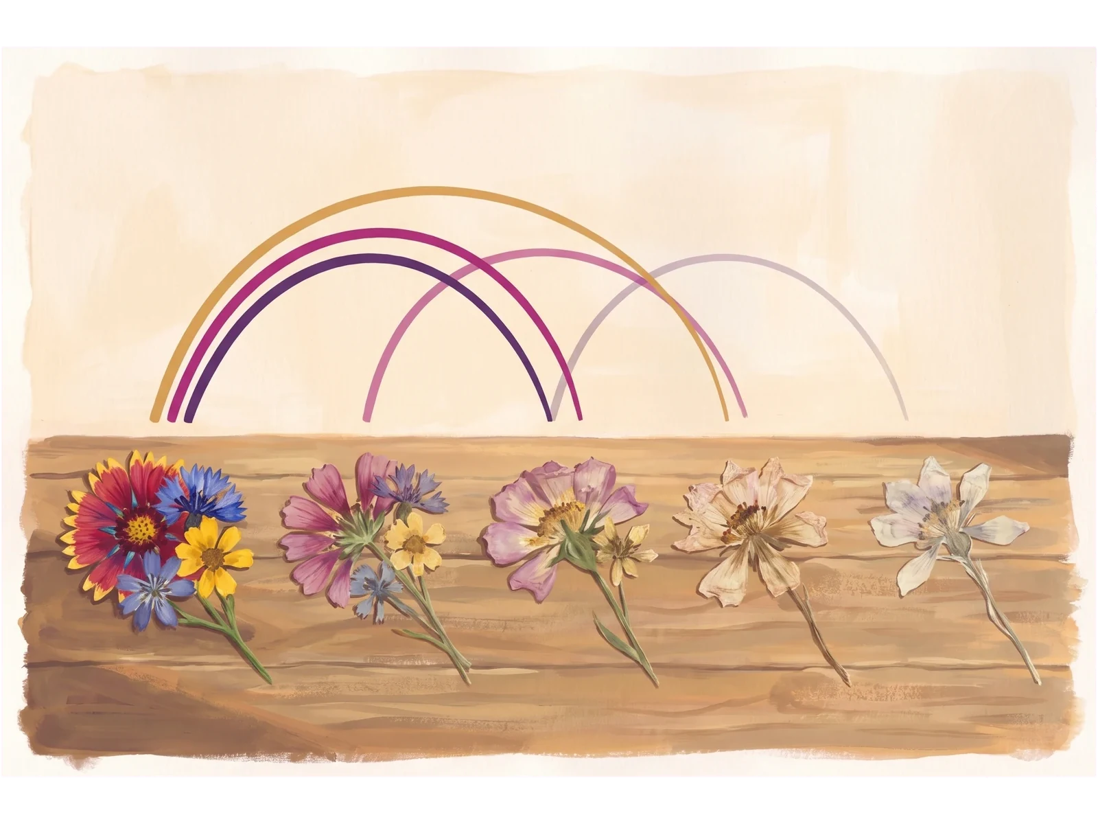 A gouache painting of five pressed wildflowers on a wooden table, the leftmost fresh and bright, each one to the right more faded but still there.